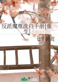 反派魔尊洗白手册晋江