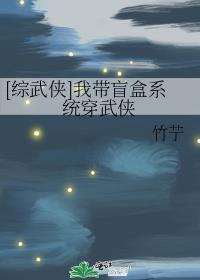 综武盲盒罐子的