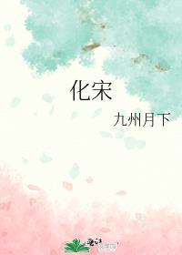 化宋TXT 百度