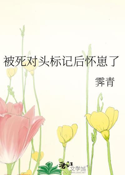被死对头标记后我怀崽了