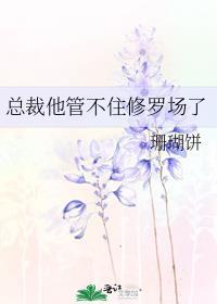 总裁我hold不住了