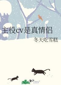 cv主役是什么意思