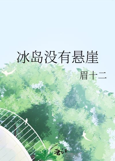 冰岛 悬崖