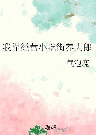 我靠经营小吃街养夫郎气泡鹿免费阅读