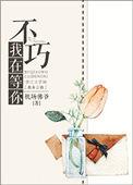 不巧我在等你歌曲