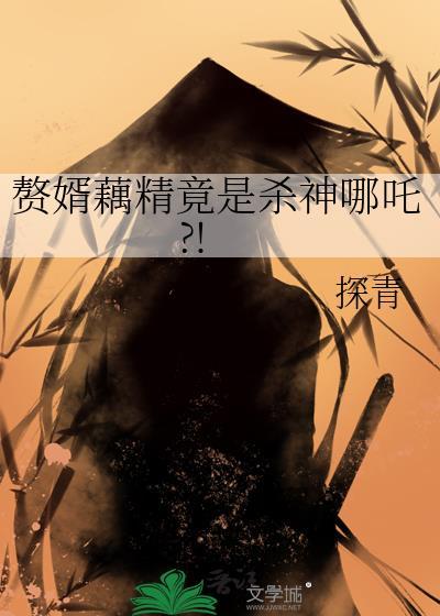 赘婿精编