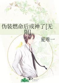 伪装燃命后成神了无限流