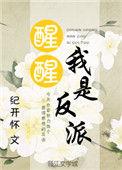 我是反派纪开怀