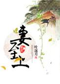 历少宠妻至上