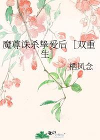 魔尊为后(重生)