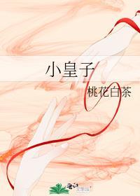 小皇子的入赘妻主