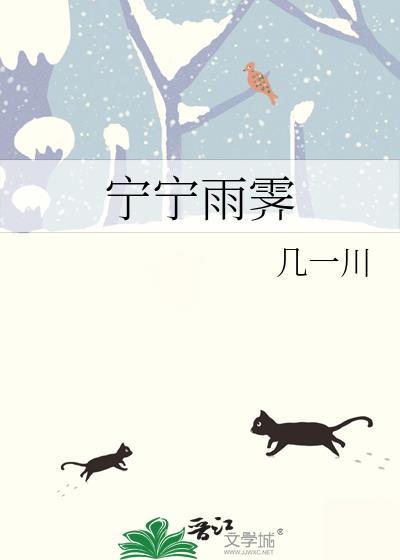 宁宁雨霁的任职经历与背景资料