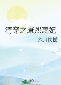 清穿康熙之慧妃