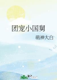 团宠小国舅番外