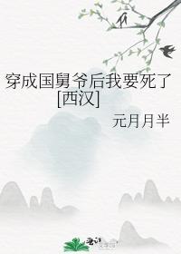穿越成国舅爷