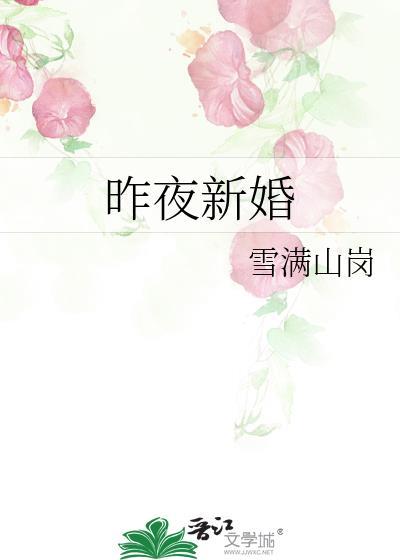昨夜新婚by雪满山岗txt