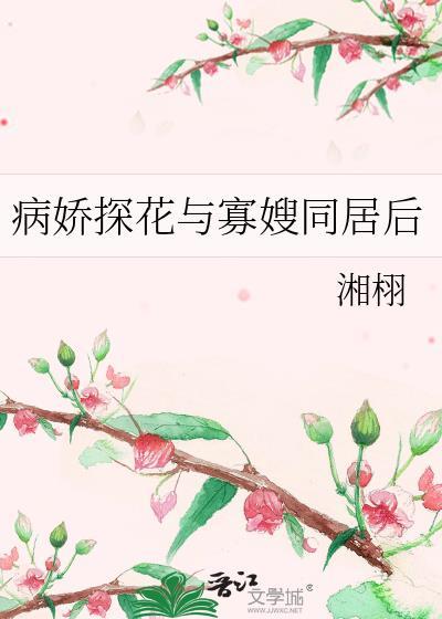 海王之家ppt