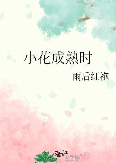小花的成长过程从发芽到开花的图片