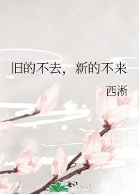 新的不来打三个数字