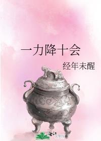 一力降十会免费阅读