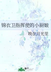 锦衣卫指挥使叫什么