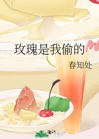 玫瑰是我偷的 爱情也是假的