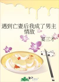 遇到亡妻后我成了男主情敌作者宴三才
