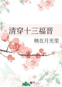 清穿十三福晋推荐
