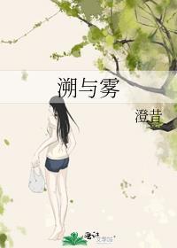 溯与雾by澄昔讲的什么