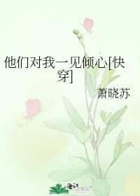 他们都对我情有独钟在线阅读全