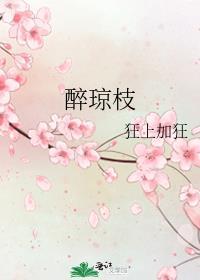 醉琼枝双洁吗