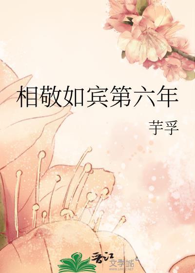 相敬如宾什么关系