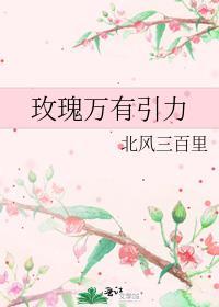 玫瑰万有引力txt百度 txt