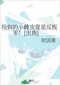 捡到雌虫后