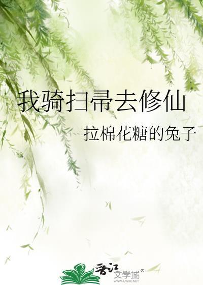 骑扫帚的叫什么