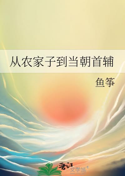 从农家子到当朝首辅鱼筝txt