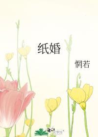 纸婚啥意思