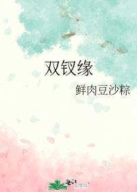 双钗缘 作者鲜肉豆沙粽