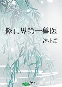 修真界第一兽医沐小烦免费阅读全文