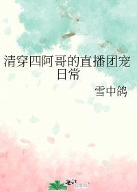 清穿四阿哥的