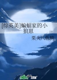综英美蝙蝠家的小恶魔
