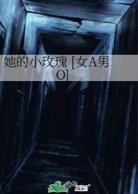 他的小玫瑰双榆无防盗