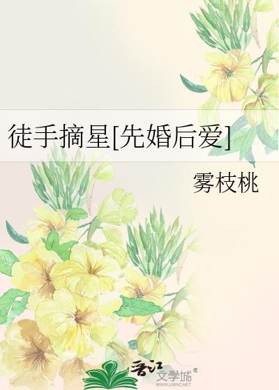 徒手摘星辰免费阅读