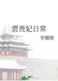 红楼梦 贾贵妃