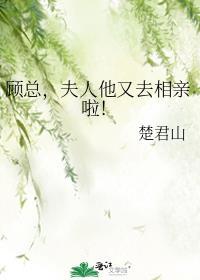 顾总夫人的马甲又掉了
