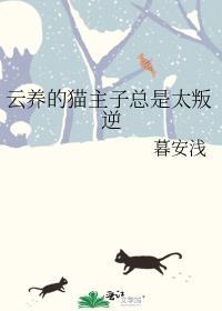 云养猫的风险分析