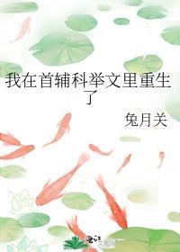 我在首辅科举文里重生了番外