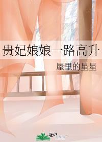 贵妃娘娘驾到