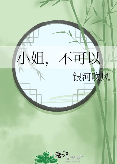 小姐不可以gl银河吹风番外