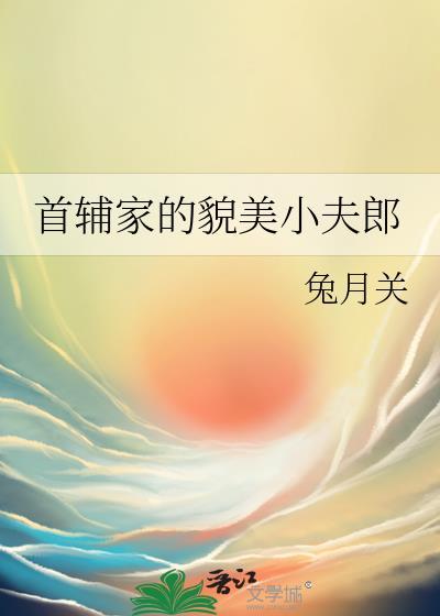 首辅家的小夫郎女尊txt